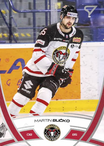 Bučko Martin 24-25 Tipos Extraliga #271