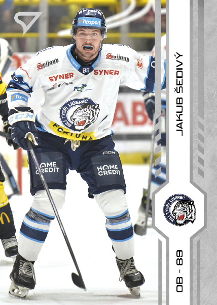 Šedivý Jakub 2025 Tipsport ELH Play Off #406