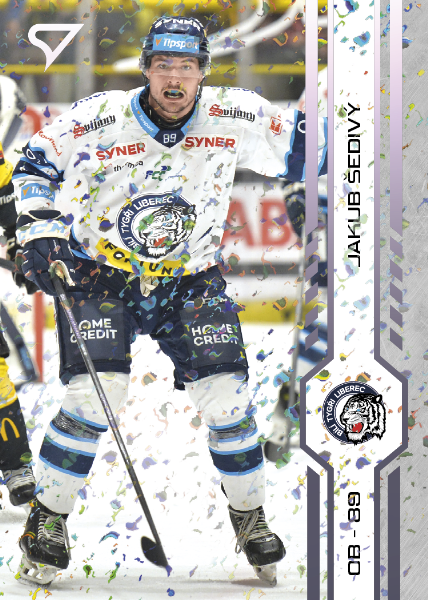 Šedivý Jakub 2025 Tipsport ELH Play Off Violet #406