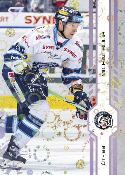 Bulíř Michal 24-25 Tipsport Extraliga Violet #304