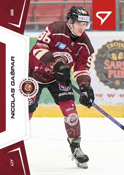 Gašpar Nicolas 24-25 Slovenská hokejová liga #79