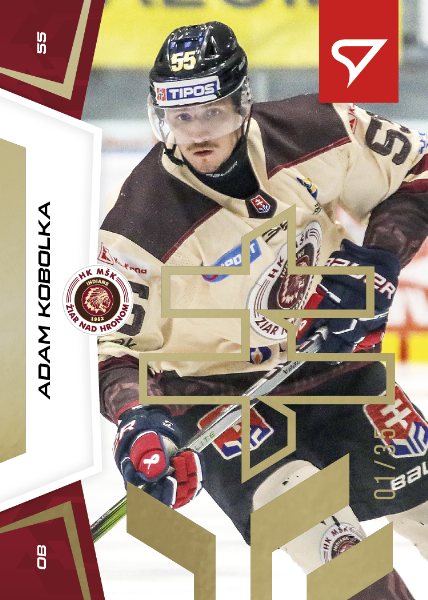 Kobolka Adam 24-25 Slovenská hokejová liga Gold #75