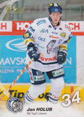 Holub Jan 07-08 OFS Plus #70