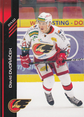 Dvořáček David 18-19 Premium Cards #71