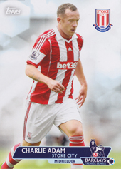 Adam Charlie 13-14 Topps Premier Gold #74