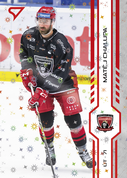 Chalupa Matěj 24-25 Tipsport Extraliga Red #313