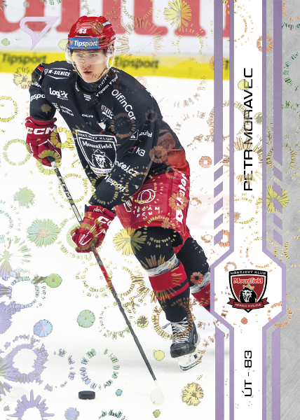 Moravec Petr 24-25 Tipsport Extraliga Violet #314