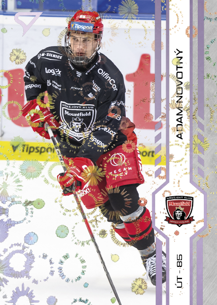 Novotný Adam 24-25 Tipsport Extraliga Violet #315