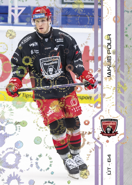 Pour Jakub 24-25 Tipsport Extraliga Violet #316