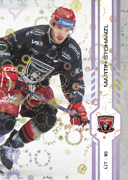 Štohanzl Martin 24-25 Tipsport Extraliga Violet #317