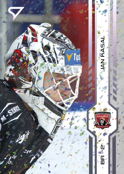 Kasal Jan 2025 Tipsport ELH Play Off Violet #410