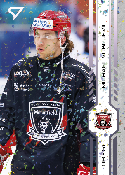 Vukojevic Michael 2025 Tipsport ELH Play Off Violet #411