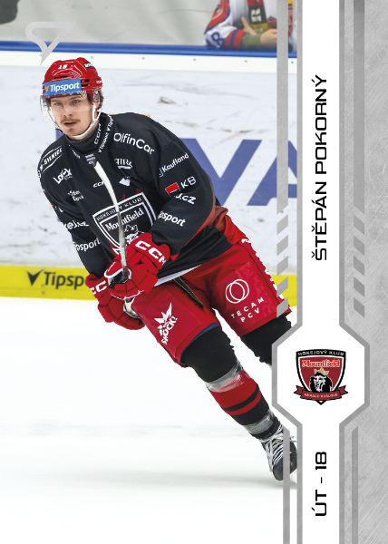 Pokorný Štěpán 2025 Tipsport ELH Play Off #415