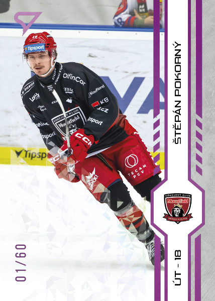 Pokorný Štěpán 2025 Tipsport ELH Play Off Purple #415