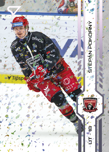 Pokorný Štěpán 2025 Tipsport ELH Play Off Violet #415