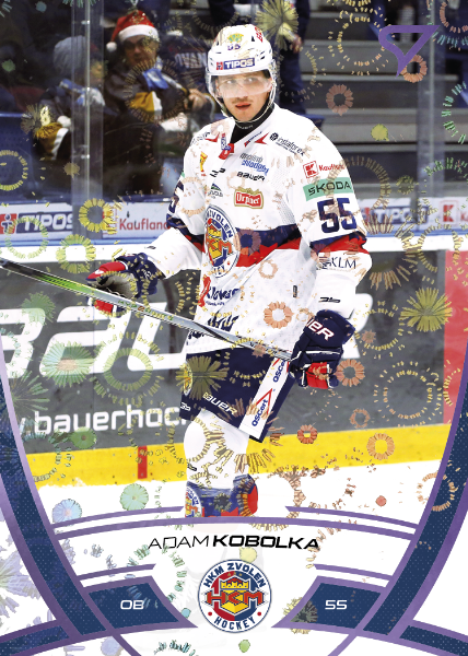 Kobolka Adam 24-25 Tipos Extraliga Purple #276
