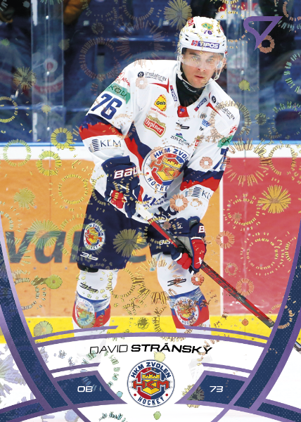 Stránský David 24-25 Tipos Extraliga Purple #277