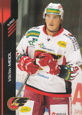 Meidl Václav 18-19 Premium Cards #89