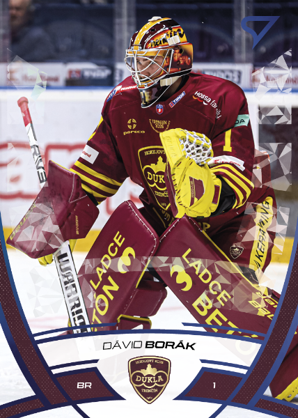 Borák Dávid 24-25 Tipos Extraliga Blue #283