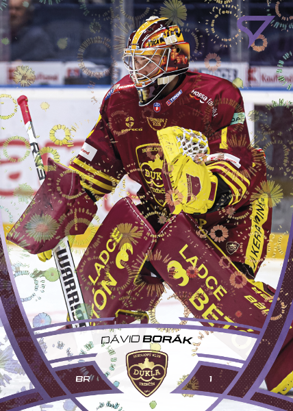 Borák Dávid 24-25 Tipos Extraliga Purple #283