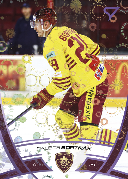 Bortňák Dalibor 24-25 Tipos Extraliga Purple #289