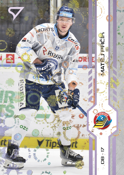 Prčík Matěj 24-25 Tipsport Extraliga Violet #318