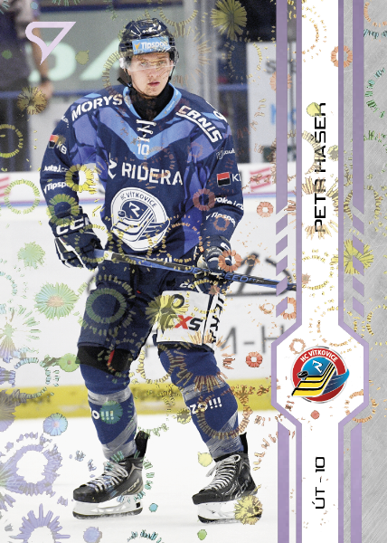 Hašek Petr 24-25 Tipsport Extraliga Violet #321