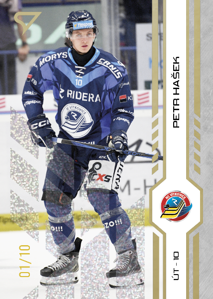 Hašek Petr 24-25 Tipsport Extraliga Gold #321