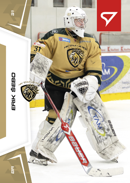 Šebo Erik 24-25 Slovenská hokejová liga #94