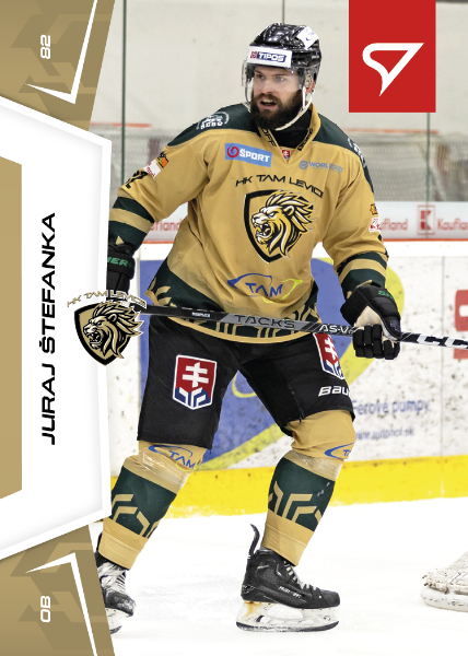 Štefanka Juraj 24-25 Slovenská hokejová liga #97