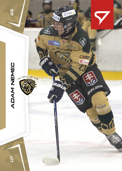 Nemec Adam 24-25 Slovenská hokejová liga #102