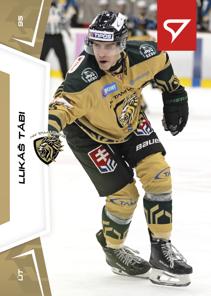 Tábi Lukáš 24-25 Slovenská hokejová liga #105