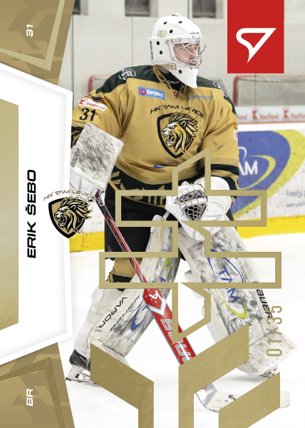 Šebo Erik 24-25 Slovenská hokejová liga Gold #94