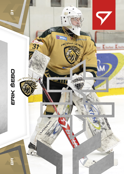 Šebo Erik 24-25 Slovenská hokejová liga Silver #94