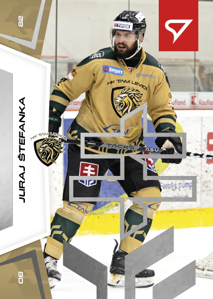 Štefanka Juraj 24-25 Slovenská hokejová liga Silver #97