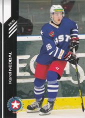 Nedbal Karel 18-19 Premium Cards #95