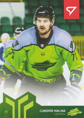 Malina Ľubomír 20-21 Slovenská hokejová liga #96