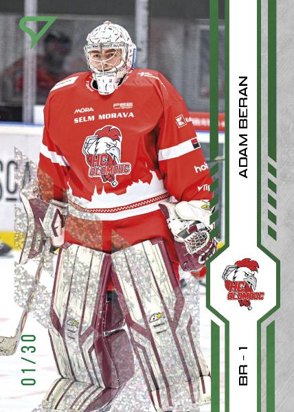 Beran Adam 2025 Tipsport ELH Play Off Green #427