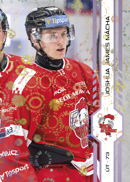 Mácha Joshua James 24-25 Tipsport Extraliga Violet #333