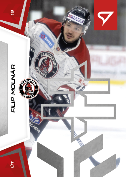 Molnár Filip 24-25 Slovenská hokejová liga Silver #113