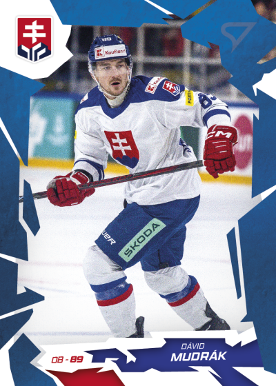Mudrák Dávid 2026 Hokejové Slovensko Blue #14