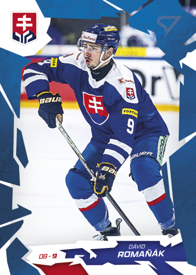 Romaňák Dávid 2026 Hokejové Slovensko Blue #15
