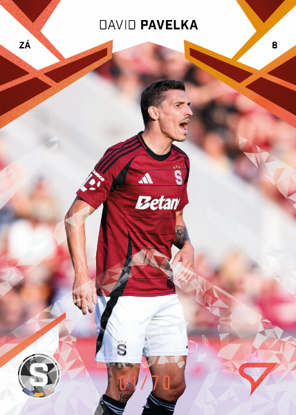 Pavelka David 24-25 Chance Liga Copper #202