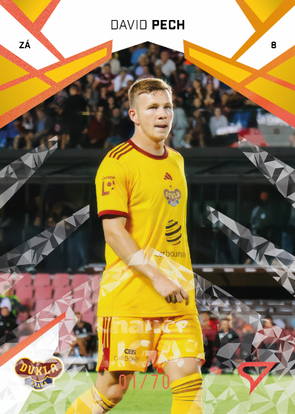 Pech David 24-25 Chance Liga Copper #369