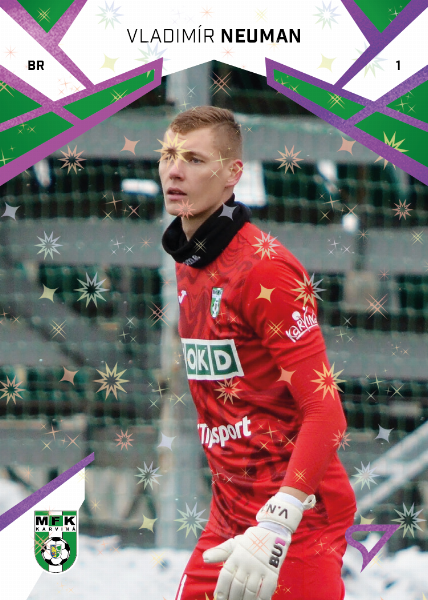 Neuman Vladimír 24-25 Chance Liga Pink #334