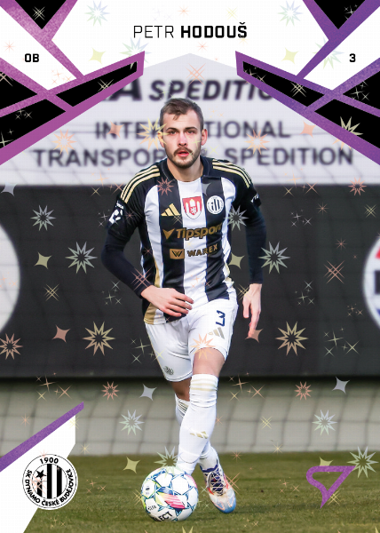 Hodouš Petr 24-25 Chance Liga Pink #348