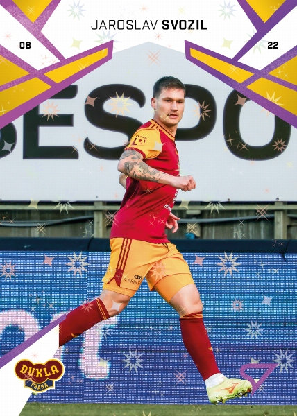 Svozil Jaroslav 24-25 Chance Liga Pink #362