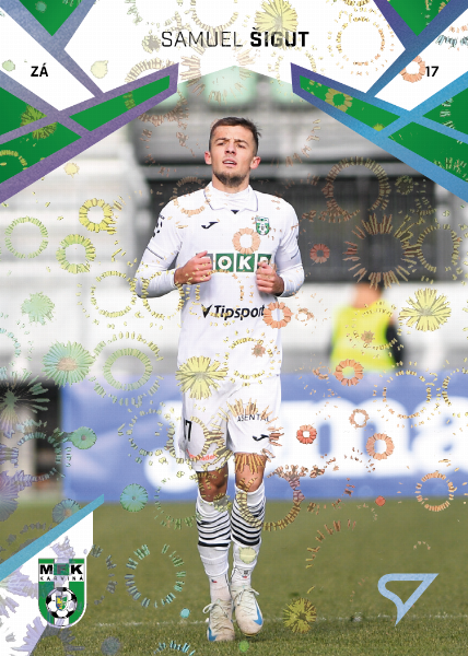 Šigut Samuel 24-25 Chance Liga Blue #341
