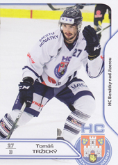 Tržický Tomáš 17-18 Premium Cards #101