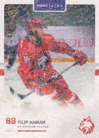 Haman Filip 25-26 GOAL Cards Maxa liga Mosaic #FMI-03